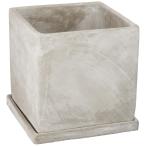  рисовое поле средний керамика посадочная машина CEM18