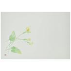 若泉漆器 上質紙マット 尺3寸長手テーブルマット 花木シリーズ カラー 100枚入 B-25-81