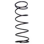 SP центральная пружина Honda B KB0120-H10014