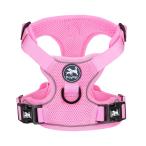 PoyPet soft "дышит" сетка собака Harness настройка возможный ошейник . шлейка имеется, вечер отражающий материал безопасность движение .. обивка предотвращение легкий для маленьких собак долговечность soft . собака уход 
