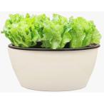 3world цветочный горшок пластик белый чёрный модный автоматика водоснабжение цветок овощи трава культивирование SW1762 эллипс type (29x15cm)