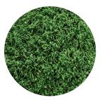  зеленый штат служащих world Land scape для пудра leaf medium зеленый (200ml) хобби для материалы GSWD-11176