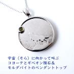 天然石 ペンダント SV925 月 ムーン コヨーテ ギベオン隕石 隕石 モルダバイト 宇宙 幸運 ネックレス レディース メンズ パワーストーン ギフト