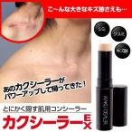 送料無料5本セット アザやタトゥー隠しに カクシーラーEX コンシーラースティック