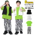  широкий брюки Zebra рисунок танцевальный костюм лучший верх и низ в комплекте Kids девочка мужчина ребенок одежда танцевальный костюм Kids выставить 3 позиций комплект чёрный лучший белый зеленый T автомобиль 