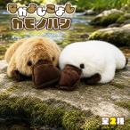 �Ȃ��悵���悵 �J���m�n�V �ʂ������ �������� �S2�� ��40cm �A�j�}�� ���� �ӂ�ӂ� �������� �r�b�O�T�C�Y ���� �傫�� ��40cm �v���[���g �M�t�g ���킢��