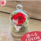 ショッピングプリザーブドフラワー 誕生日のプレゼント プリザーブドフラワー ガラスドームアレンジ 退職祝い 結婚祝い 80代 70代 60代 2025 ブリザードフラワー