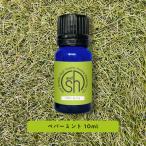 エッセンシャルオイル 精油  ペパーミント 10ml AEAJ表示基準適合認定精油 ＆SH ハッカ油 はっか 薄荷 +lt3+