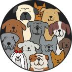  стикер упаковка L собака лицо America 