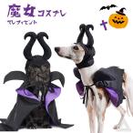  собака кошка Halloween одежда костюмированная игра . женщина демон ma Refi цент костюм манто шляпа европейская одежда интересный товары осень-зима маскарадный костюм менять оборудование wi домашнее животное i бирка reKM855G