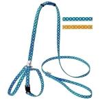 [petio] CAT HARNESS точка шлейка с поводком orange Вьетнам 