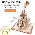 動く 音楽が鳴る 3D ウッドパズル マ