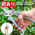 訳あり 剪定 はさみ ばさみ 剪定鋏 強力 ハサミ 庭 木 ガーデニング 園芸 枝切り 鋏 手入れ 家庭菜園 30mm 処分品