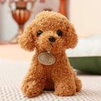 Yahoo! Yahoo!ショッピング(ヤフー ショッピング)【櫻】ぬいぐるみ 犬 25cm 犬のぬいぐるみ トイプードル 動物 いぬ かわいい 男の子 女の子 いぬ トイプードル 誕生日 ギフト おもちゃ 置物