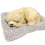 Yahoo! Yahoo!ショッピング(ヤフー ショッピング)TATOTTE 犬のぬいぐるみ リアル 置物 寝顔が可愛いわんこ 活性炭入り 癒し インテリア（レトリバー）