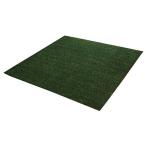 イケヒコ ラグ カーペット 3畳 洗える タフト風 『ノベル』 グリーン 約140×340cm 裏:すべりにくい加工 (ホットカーペット対応)