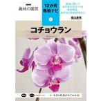 コチョウラン (NHK趣味の園芸12か月栽培ナビ(3))