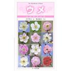 ウメハンドブック