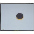 DAYTONA( Daytona ) турбо фильтр Monkey, Gorilla 20063