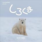 [....]. лист ..2026 год < орнамент > календарь 