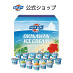 ブルーシール アイスクリーム アイス 18個入り 送料無料 アイスギフト 沖縄 お取り寄せ お土産