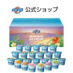 ショッピングアイス アイス ブルーシール 公式 ギフト 24個 プレゼント スイーツ 祝い 沖縄 アイスクリーム 送料無料