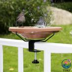  bird механизм подачи bird автобус птица корм шт. птица вода .. птица столик для птиц дикая птица столик для птиц длиннохвостый попугай наружный 