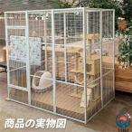 ne. клетка большой кошка клетка большой человек вставка кошка клетка большой много голова клетка кошка кошка. клетка кошка клетка большой кошка клетка кошка клетка дверь имеется уборка легко много голова ..