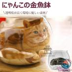 ni.. это круглый аквариум кошка прозрачный домашнее животное house кошка house для помещений круглый аквариум . кошка для круглый аквариум прозрачный акрил производства кошка защитный корпус ... час . удобно 