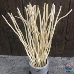  диффузор палочка 25cm 50 100 шт. комплект ротанг палочка .. ветка производства натуральное дерево бездымный aroma Sera pi-