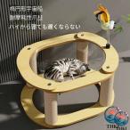  башня для кошки из дерева .. класть модный sinia большой кошка космический корабль прозрачный миска большой устойчивый высокий 