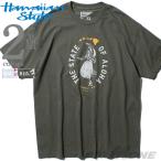 大きいサイズ メンズ HAWAIIAN STYLE ハワイアンスタイル LOCAL MOTION ローカルモーション 半袖 プリント Tシャツ USA直輸入 mts18206