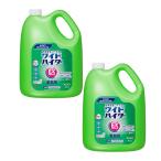 ショッピングワイドハイター 【2個セット】花王 ワイドハイターEXパワー 業務用 4.5L  ×2