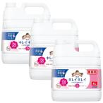 キレイキレイ 薬用 泡ハンドソープ シトラスフルーティの香り 4L×3【3個セット】ケース販売 送料無料 手洗い せっけん ハンドソープ 業務用