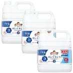  чистый чистый лекарство для пена мыло для рук Pro без ароматизации 4L×3[3 шт. комплект ] кейс распродажа бесплатная доставка уборная мыло мыло для рук для бизнеса 