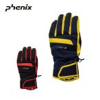 PHENIX Phoenix сноуборд перчатка мужской <2026>Bicolor Gloves / ESM25GL13