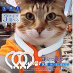 クールリング アイスクールリング ネッククーラー 冷感リング ひんやりリング クールネック スマートアイス リングクール 防災グッズ 送料無料 cicibella