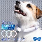  прохладный кольцо I school ring охладитель для шеи охлаждающий кольцо .... кольцо прохладный шея Smart I sling прохладный предотвращение бедствий товары бесплатная доставка cicibella