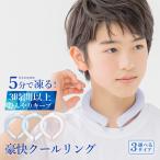 ショッピングネッククーラー アイスリング クールリング アイスクールリング ネッククーラー 冷感リング ひんやりリング クールネック スマートアイス リングクール 防災グッズ 送料無料 cicibella