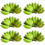 SAGING NA SABA 6kg - Philippines производство скумбиря banana 