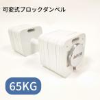 ショッピングダンベル ブロックダンベル65kg【1個】 ボディリンク (BoDYLINK) 筋トレ 可変式ダンベル おしゃれ コンパクト 高重量 ダンベル