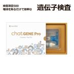 【50%OFF特別価格】 遺伝子検査 chatGENE Pro チャットジーンプロ 祖先 ハプロ 遺伝子検査キット DNA チャットジーンプロ 病気 遺伝子 ダイエット 肌質 体質