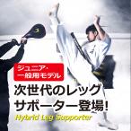  нога опора hybrid (1 комплект ) L черный BODYMAKER корпус производитель будо * боевые искусства опора каратэ .... .kega травма предотвращение боевые искусства средства защиты .