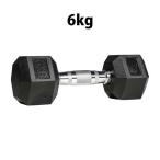 六角ダンベル 6KG BODYMAKER ボディメーカー PD009600 六角 ダンベル ６ＫＧ 6kg 6キロ ケトルベル トレーニングジム 筋トレ 筋肉 筋力 胸筋