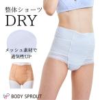 ショッピングショーツ 整体ショーツ DRY ドライ 通気性 ムレにくい 反り腰 骨盤 矯正 グッズ レディース ショーツ 苦しくない はくだけ 楽ちん 補正下着 お腹 引き締め 1枚ばき