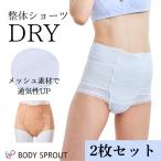 整体ショーツ DRY ドライ 2枚セット 骨盤ショーツ 通気性 ムレにくい 反り腰 改善 骨盤 矯正 骨盤底筋 グッズ 年中使える 汗対策 ショーツ 苦しくない 補正下着