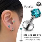  кнопка серьги 20G 18G 16G 14G 18G 16Glabopalaiba neon голубой прямые "лапки" металл аллергия соответствует la Brett stud ..pi Astra газ Helix 