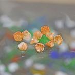 チェコビーズ ベルフラワー7x5mm アプリコット 15個 パーツ アクセサリー ハンドメイド 手芸 手作り 素材