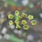Yahoo! Yahoo!ショッピング(ヤフー ショッピング)チェコビーズ ベルフラワー7x5mmオパックオリーブレインボー 15個 パーツ アクセサリー ハンドメイド 手芸 手作り 素材