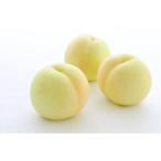  Okayama префектура производство персик белый .2kg.. для предварительный заказ распродажа отправка 6 месяц последняя декада ~7 месяц сверху .